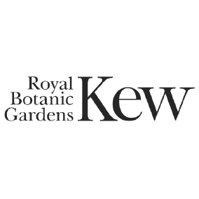 KEW